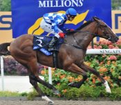 Cash Luck<br>Photo by Singapore Turf Club